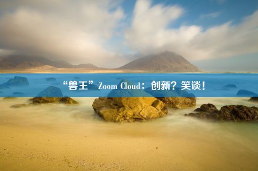 “兽王”Zoom Cloud：创新？笑谈！