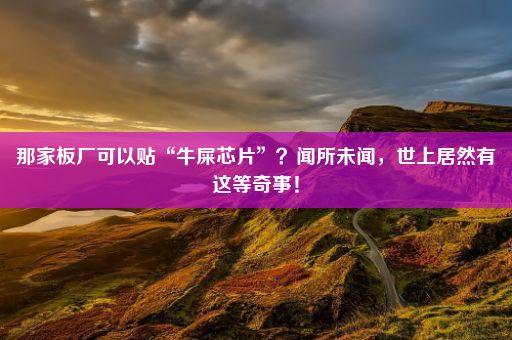 那家板厂可以贴“牛屎芯片”？闻所未闻，世上居然有这等奇事！