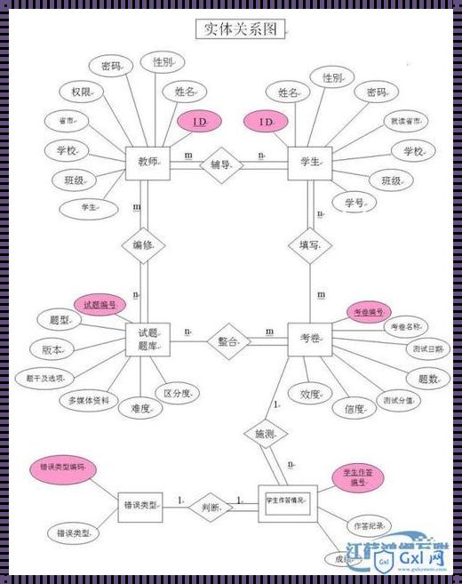 关系实体的键中寻，双关语里探幽深