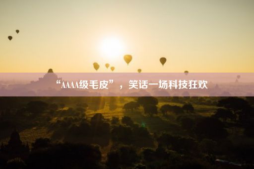 “AAAA级毛皮”，笑话一场科技狂欢