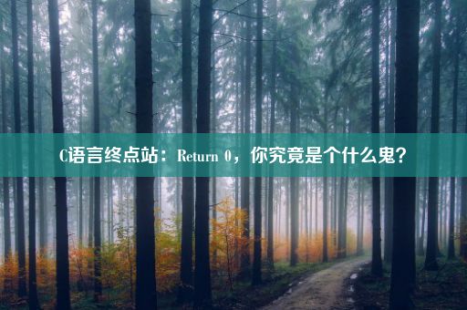 C语言终点站：Return 0，你究竟是个什么鬼？