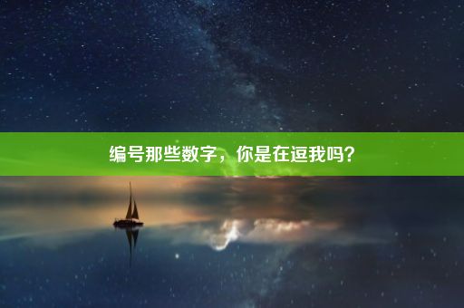 编号那些数字，你是在逗我吗？