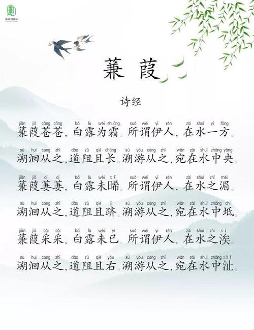 “蒹葭苍苍，惊喜何在？科技圈里的尴尬事儿”