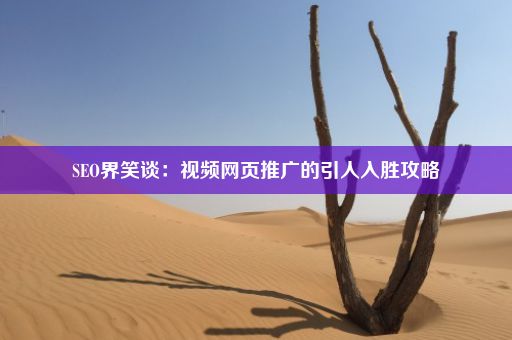 SEO界笑谈：视频网页推广的引人入胜攻略