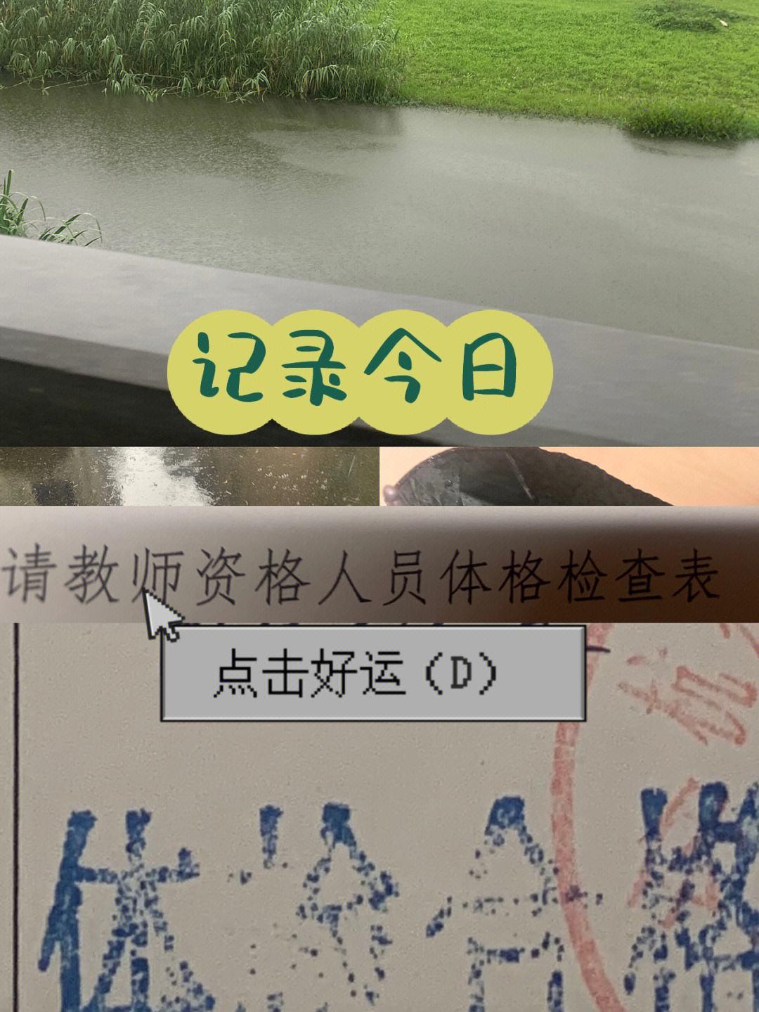 “体检小雨”狂想曲：科技界的奇趣突破！