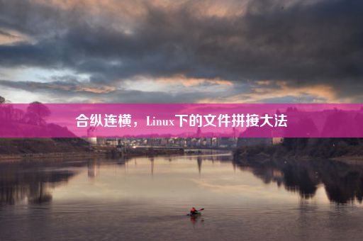 合纵连横，Linux下的文件拼接大法