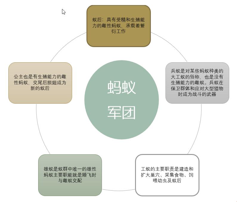 “蚂”力职级观：笑谈蚂蚁爬格子