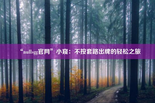 “nullsgg官网”小窥：不按套路出牌的轻松之旅