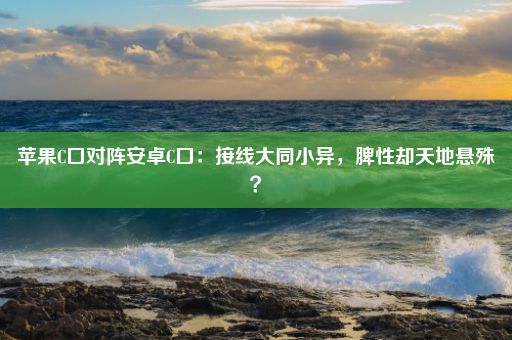 苹果C口对阵安卓C口：接线大同小异，脾性却天地悬殊？