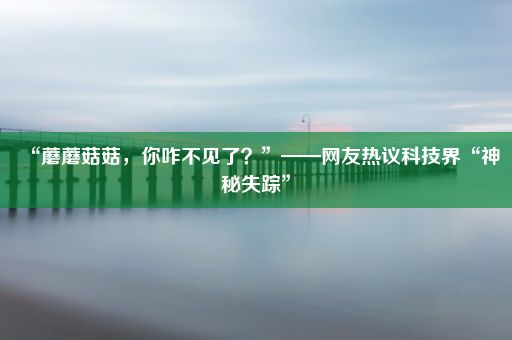 “蘑蘑菇菇，你咋不见了？”——网友热议科技界“神秘失踪”