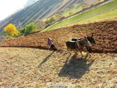 母土翻滚，激荡心田——科技圈里的疯狂垦荒