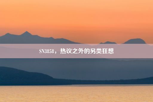 SN3858，热议之外的另类狂想