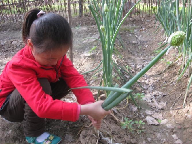 “旱地拔葱”坐姿走红，网络新宠还是健康隐患？