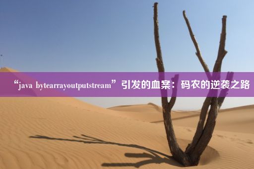 “java bytearrayoutputstream”引发的血案：码农的逆袭之路