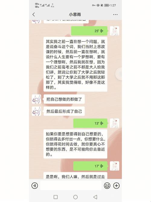 《共享双胞胎奇谭：齐娜齐琳的短剧江湖》