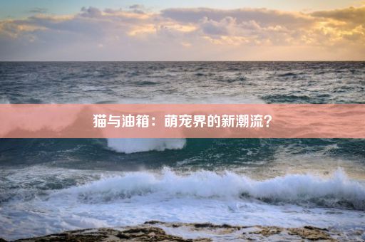 猫与油箱：萌宠界的新潮流？