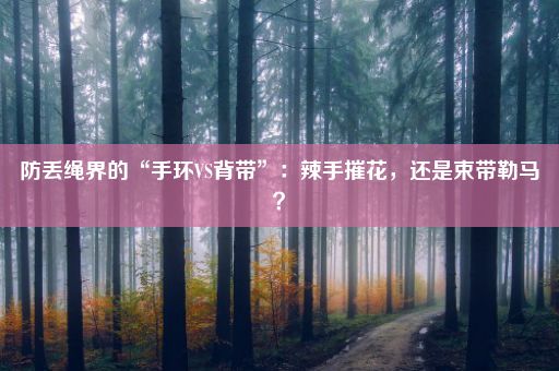 防丢绳界的“手环VS背带”：辣手摧花，还是束带勒马？