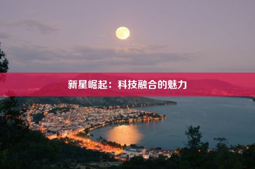 新星崛起：科技融合的魅力