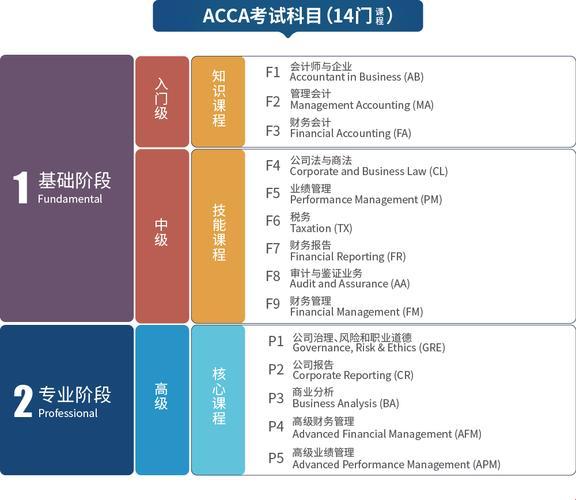 “ACCA少女Sdanvi的学霸秘籍：网友热议的另类风尚”