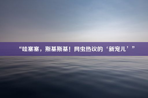 “哇塞塞，斯基斯基！网虫热议的‘新宠儿’”