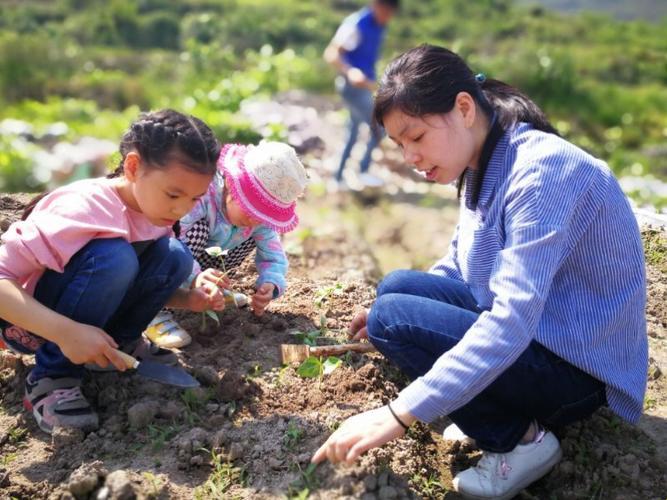 "儿妈妈"耕新田，笑翻科技界