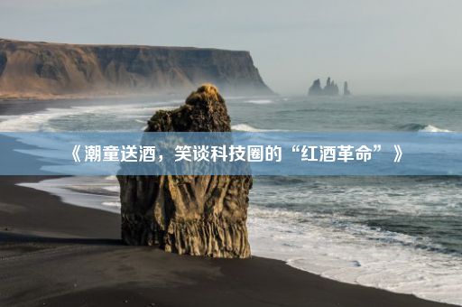 《潮童送酒，笑谈科技圈的“红酒革命”》