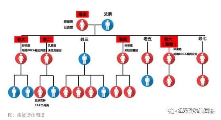 科技江湖：血统之谜，创新洪荒之力