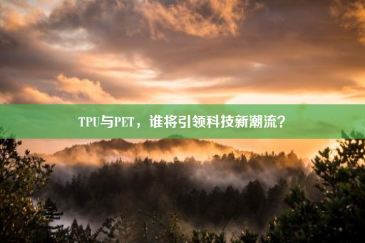 TPU与PET，谁将引领科技新潮流？