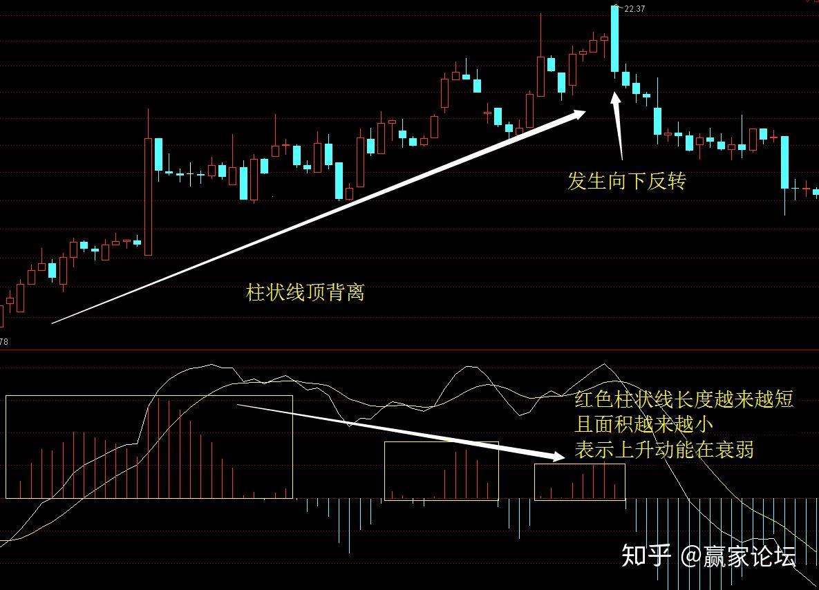 "MACD柱状线，走你！掀起科技界的新浪潮"