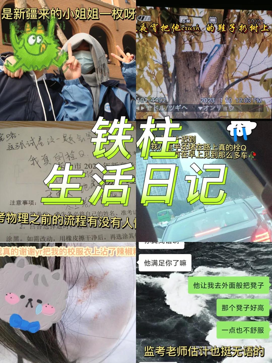 《铁柱的快乐生活：笑谈AI的逆袭人生》