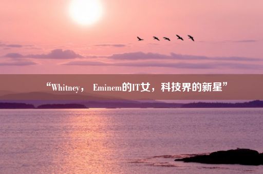 “Whitney， Eminem的IT女，科技界的新星”