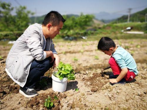 "耕二代"玩转科技田，网友热炒新潮流！