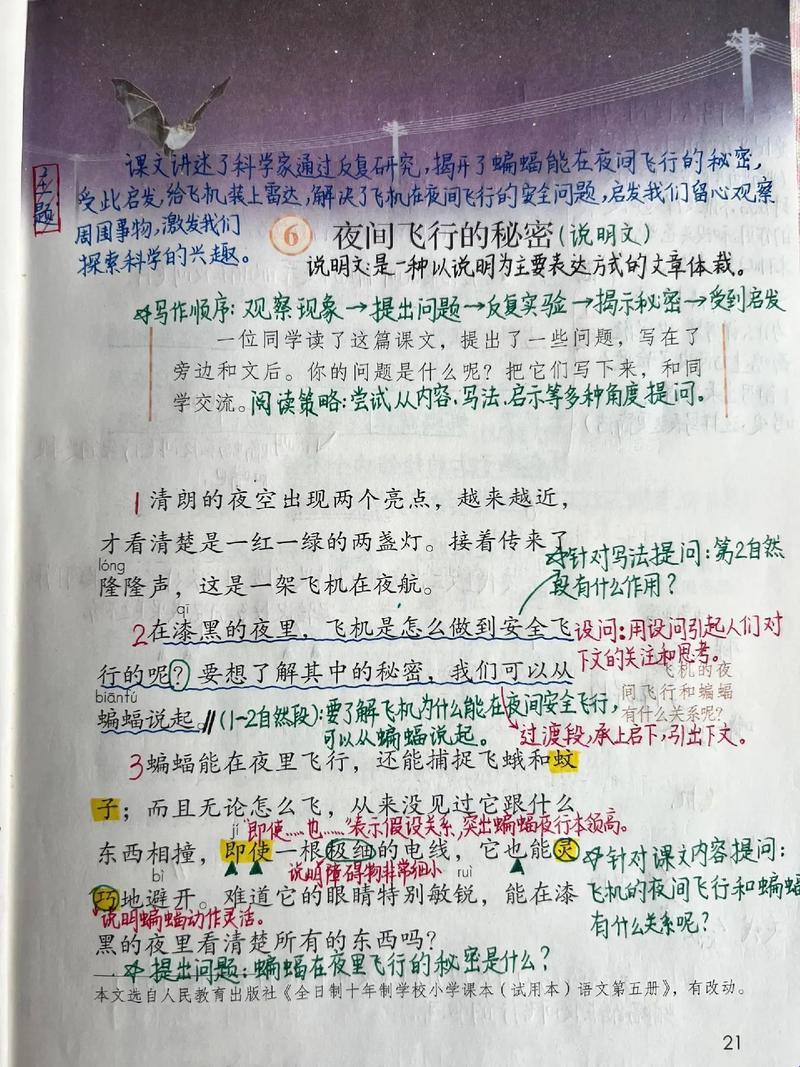 《探秘科技成长之路：奇葩案例，独领风骚》