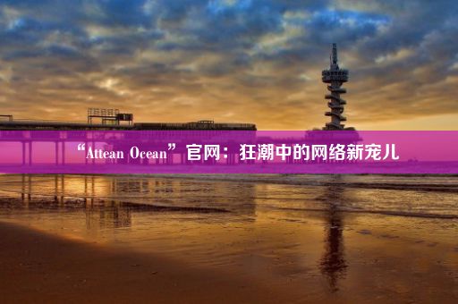 “Attean Ocean”官网：狂潮中的网络新宠儿