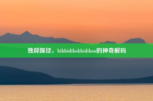 独辟蹊径，bibbidibobbidiboo的神奇解码