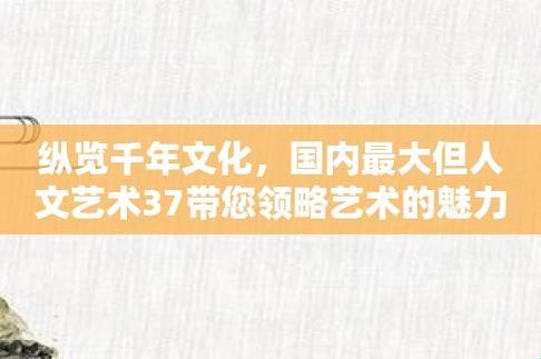 37°最大熵，艺术界的新晋网红打哪儿来？