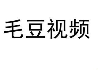 毛豆传奇：诡辩风口下的网瘾爆款