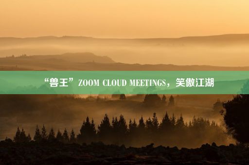 “兽王”ZOOM CLOUD MEETINGS，笑傲江湖