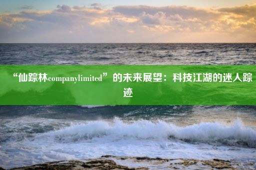 “仙踪林companylimited”的未来展望：科技江湖的迷人踪迹