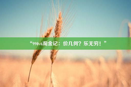 “990v6淘金记：价几何？乐无穷！”