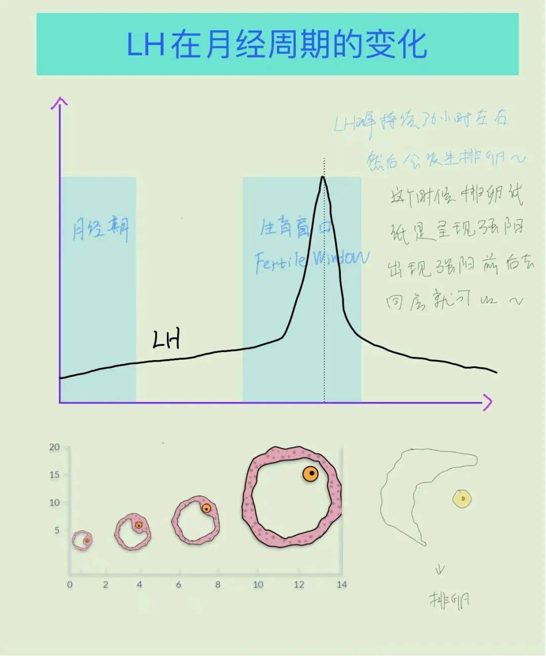 "科技江湖, '高能lH1对多'的奇葩崛起"