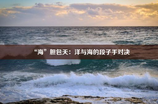 “海”胆包天：洋与海的段子手对决