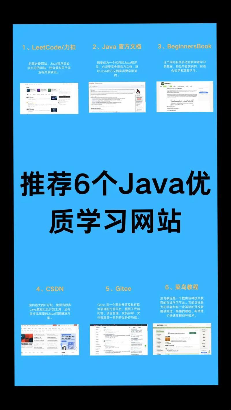 "Java成品网站：崛起的笑星，你怎么看？"