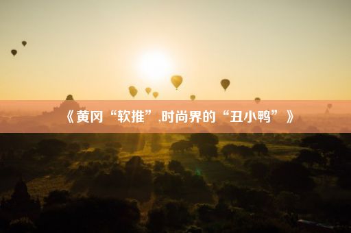 《黄冈“软推”,时尚界的“丑小鸭”》