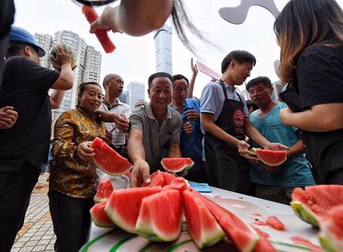 热心“朝蜜”在线吃瓜，网络江湖掀起滔天巨浪！