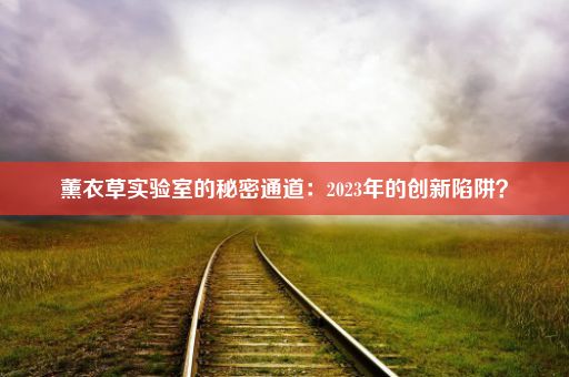 薰衣草实验室的秘密通道：2023年的创新陷阱？