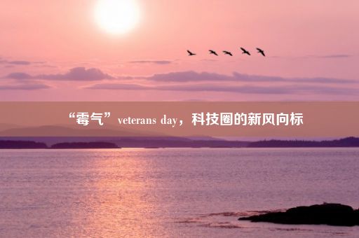 “霉气”veterans day，科技圈的新风向标