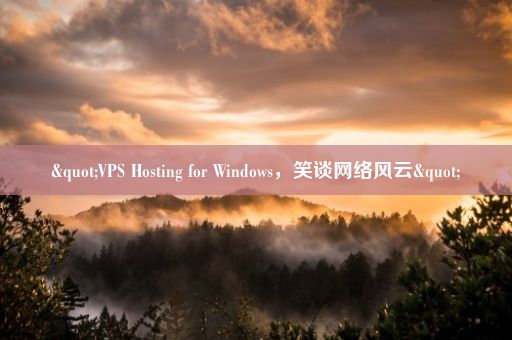 "VPS Hosting for Windows，笑谈网络风云"