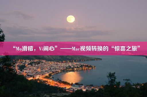 “Mo滑稽，Vi闹心”——Mac视频转换的“惊喜之旅”