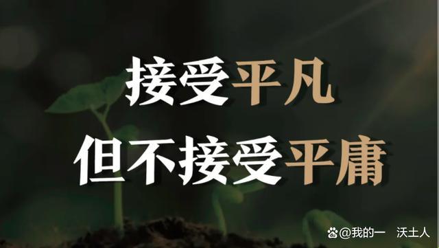 翻转风云：从“不”到“是”的魔法指南